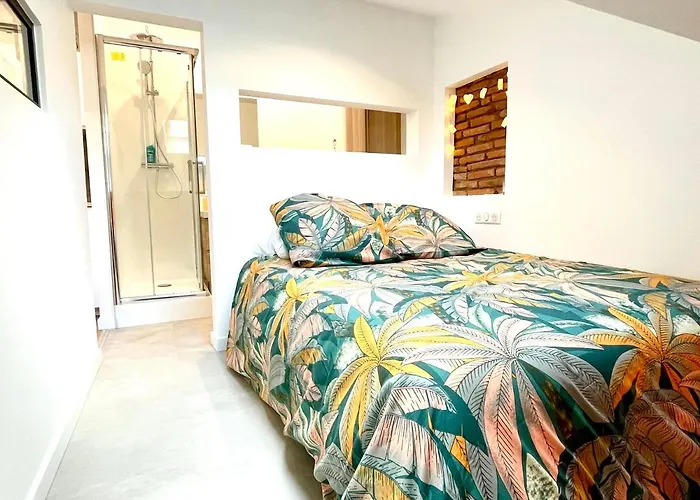 Baby Loft Sous Les Toits Apartment *